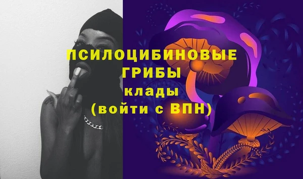 прущие крисы Алексин