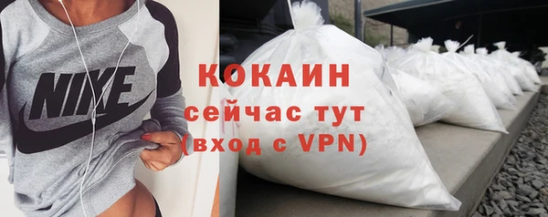 прущий лед Алзамай