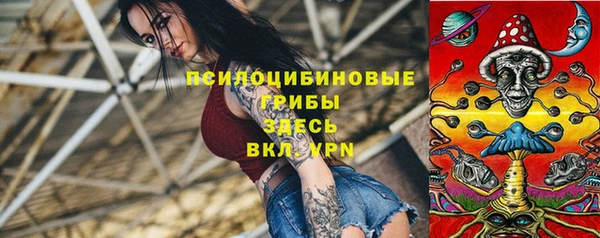прущие крисы Алексин