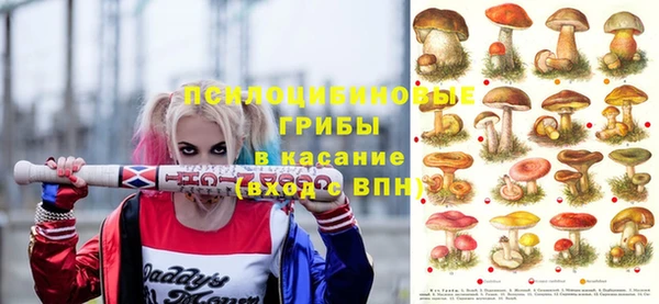 прущие крисы Алексин