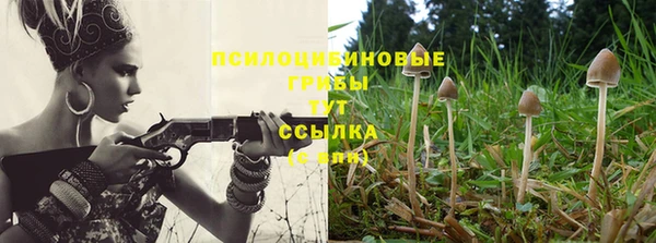 прущий лед Алзамай