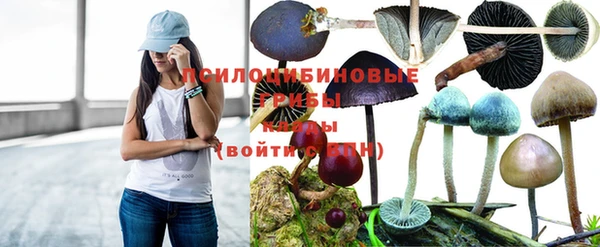 соль ск Приозерск