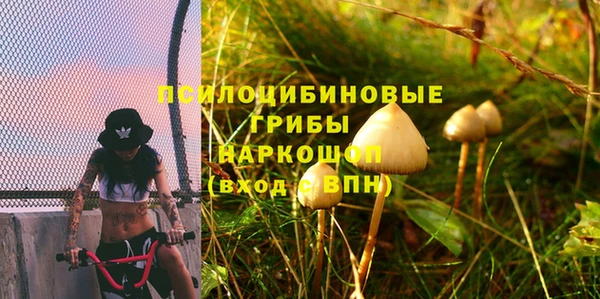 дмт Абдулино