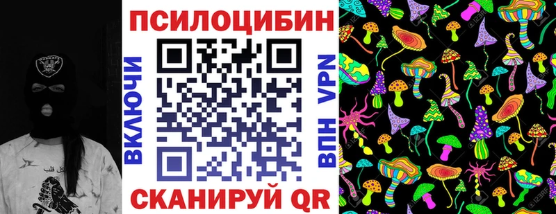 Галлюциногенные грибы Magic Shrooms  Куртамыш 