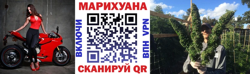Бошки Шишки гибрид  Куртамыш 